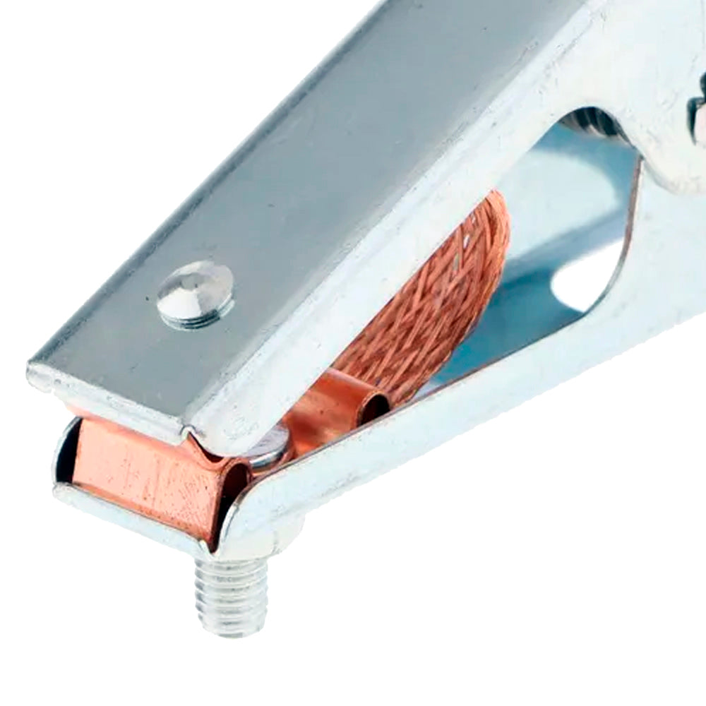 Pinza masa