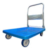 Carretilla con plataforma 300Kg